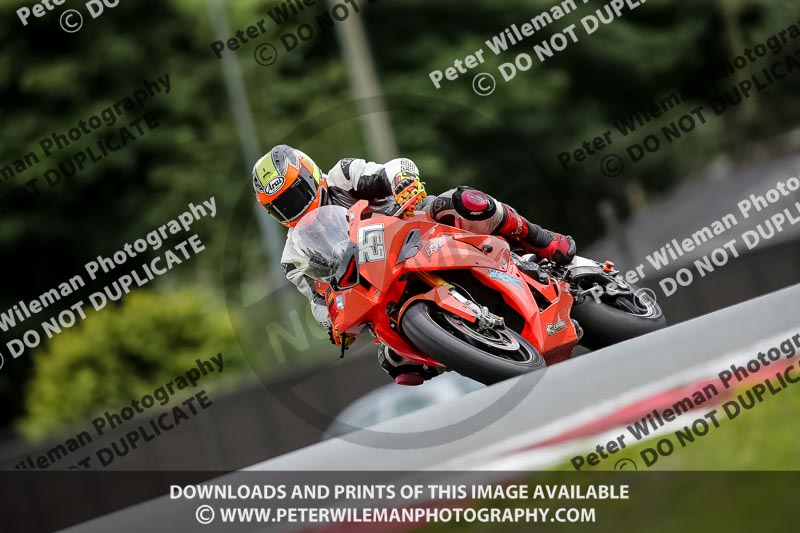 PJM Photography;anglesey;brands hatch;cadwell park;croft;donington park;enduro digital images;event digital images;eventdigitalimages;mallory;no limits;oulton park;peter wileman photography;racing digital images;silverstone;snetterton;trackday digital images;trackday photos;vmcc banbury run;welsh 2 day enduro